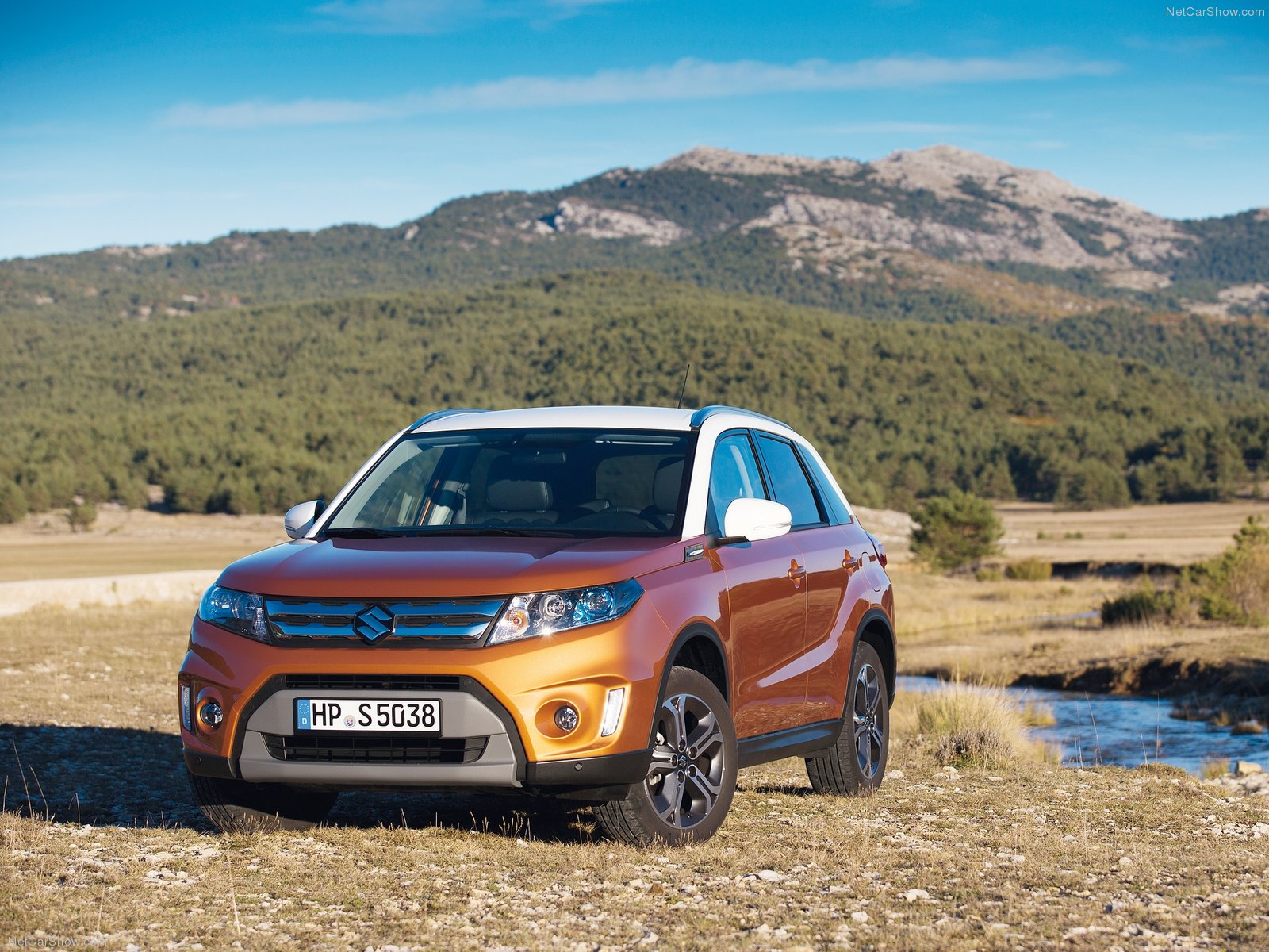 Suzuki grand vitara 2017